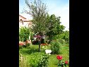 Apartmány Nika - nice garden: A1(2), A2(4+1), A3(6), A4(2) Nin - Riviera Zadar  - zahrada (dům a okolí)