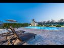 Prázdninový dům/vila Oasis Village Villa - heated pool : H(6+2) Privlaka - Riviera Zadar  - Chorvatsko  - bazén