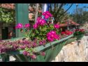 Prázdninový dům/vila Role - retro & affordable: H(2+1) Starigrad-Paklenica - Riviera Zadar  - Chorvatsko  - květiny
