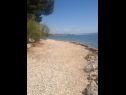 Apartmány a pokoje Voyasi - 60 m from sea: A1(2), A2(2), A4(2), A6(2), A7(4), R5(2) Starigrad-Paklenica - Riviera Zadar  - pláž