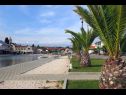 Apartmány Let - 5 m from sea : A1(4), A4(4) Sukošan - Riviera Zadar  - detail
