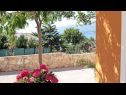 Prázdninový dům/vila Anamaria - sea and mountain view: H(3+2) Vinjerac - Riviera Zadar  - Chorvatsko  - dvůr