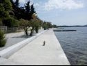 Apartmány Franka - 70 m from sea: A1(6) Zadar - Riviera Zadar  - detail