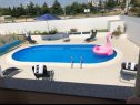 Prázdninový dům/vila Franny - comfortable: H(6+1) Zadar - Riviera Zadar  - Chorvatsko  - bazén (dům a okolí)