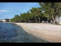 Apartmány Eddie - great location & comfor: A1(4), A2(4), A3(4), A4(4) Zadar - Riviera Zadar  - pláž